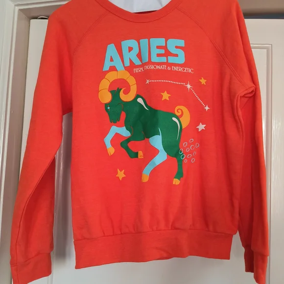 Anthro Aries ♈ Sweatshirt - Bright Orange NWT - Picture 1 of 5